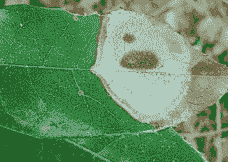 如何防治蜡梅花褐斑病