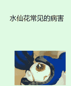 水仙花灰霉病如何防治