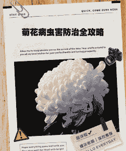 菊花病虫害介绍和防治方法