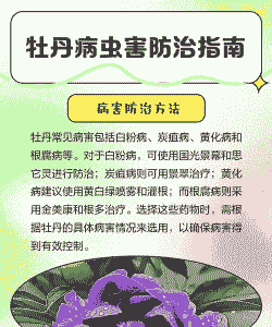 牡丹病虫害的防治方法详细介绍