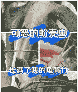 植物介壳虫的防治方法