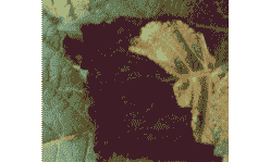 紫苏根腐病与斑枯病的防治技术