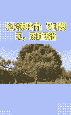 红松立枯病症状及防治方法