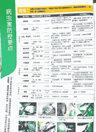 十月果树病虫害防治