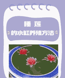 如何防治睡莲叶腐病