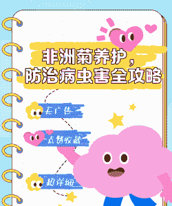 非洲菊叶螨防治方法