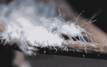 梧桐树的病虫害防治方法--梧桐木虱的防治措施