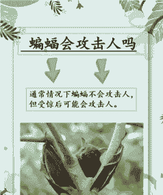 百合蝙蝠露尾甲防治方法