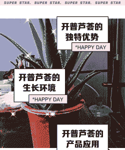 开普芦荟褐斑病的防治方法