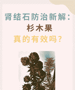 杉木缩顶病的防治方法