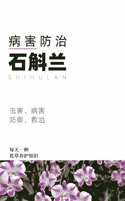 石斛兰病毒病的防治方法