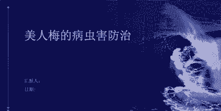 美人梅的病虫害防治