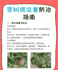 重视防治“枣树癌症”