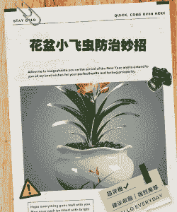 盆花治虫新法介绍