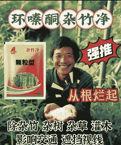 林地内的小竹子用什么除草剂