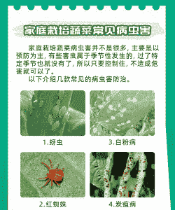 怎样进行病虫害农业防治?