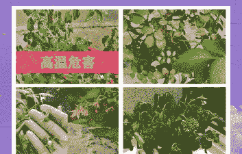 低温对树木的危害及防护