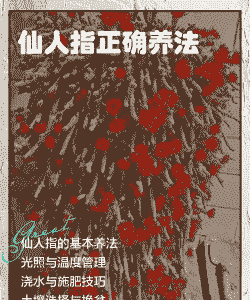 仙人指腐烂病的防治方法