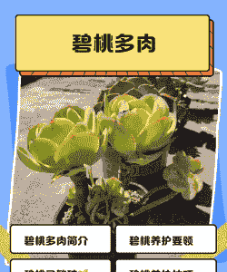 怎样繁殖碧桃和防治病虫害?