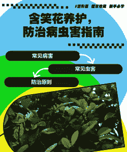 怎样防治含笑病虫害