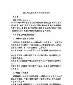 荷花病虫害及其防治