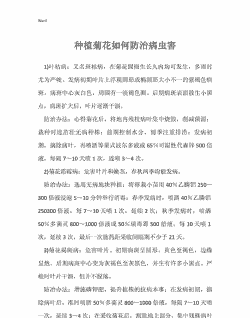 如何防治菊花的常见病虫害