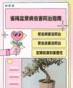 盆景病虫害防治