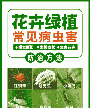 冬季花卉苗木病虫害防治措施