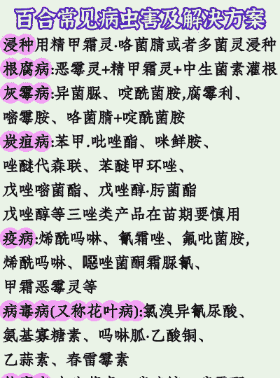 百合有病虫害怎么办