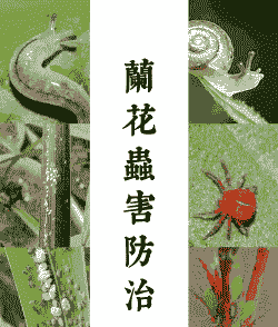 兰花病虫害的综合治理