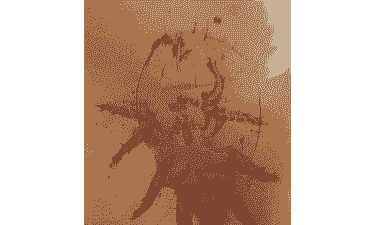 刺足根螨的发生规律及其防治方法