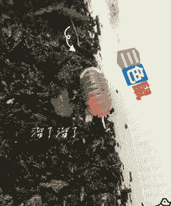 仙客来鼠妇虫害