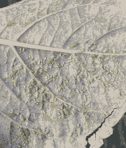 早春防治蚜虫效果好