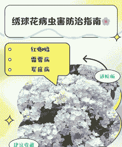 花卉病虫害冬季防治措施