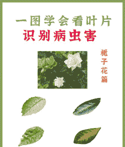 花木的三大害虫及其防治