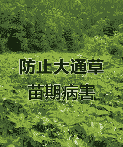 怎样防治苗木猝倒病