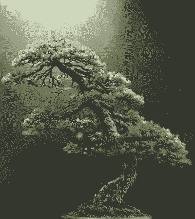 盆景美感的优美与壮美