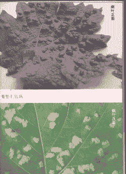 葡萄毛毡病咋防治