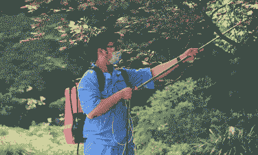 喷洒中药制剂驱杀 公园灭虫无污染