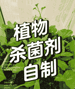 家用花卉农药这样制