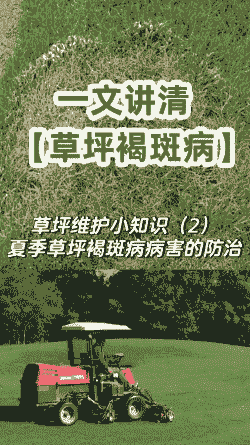 草坪褐斑病的防治