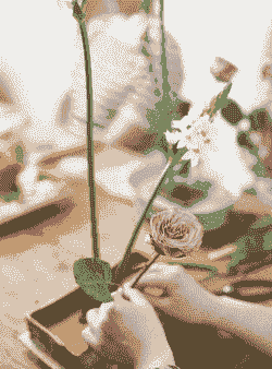 插花教学当加强