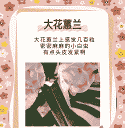 大花蕙兰常见病虫害及防治