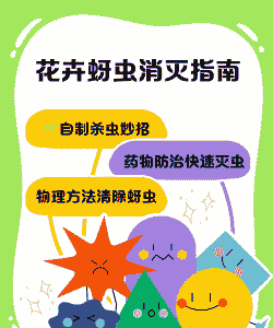 花卉田间操作管理与病害防治