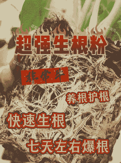 花木生根剂的土法配制