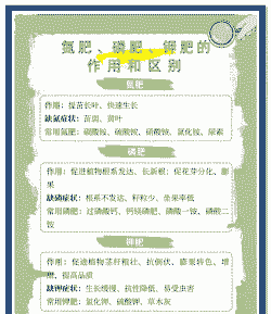 提高氮磷肥肥效的有效办法