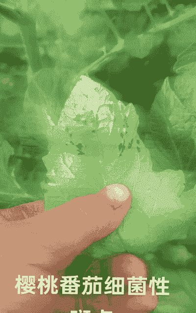 冬季要综合防控病虫害