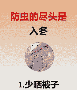 冬季桑园防虫有妙招