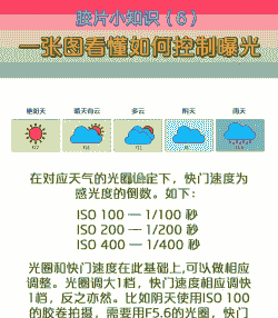 光照强度和光照时间对植物生长的控制