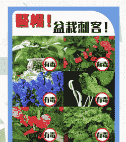 “中毒”花卉的解毒方法